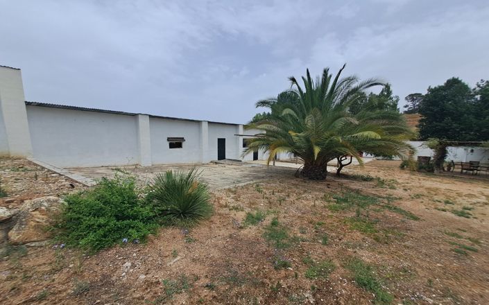 Image No.22-5 Bed House for sale