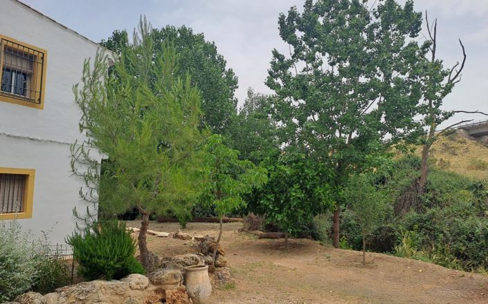 Image No.52-5 Bed House for sale