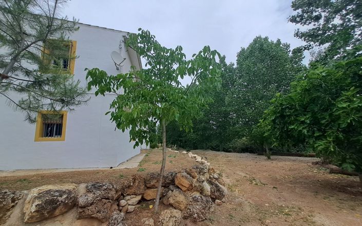 Image No.53-5 Bed House for sale