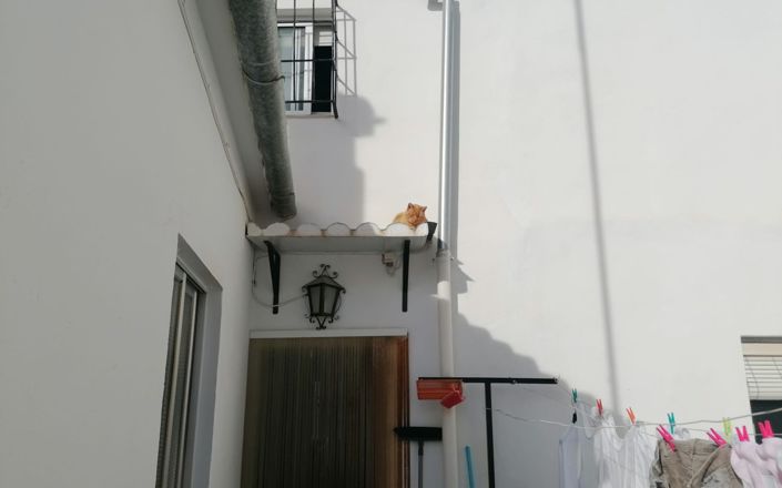 Image No.21-Maison de 5 chambres à vendre à Rute