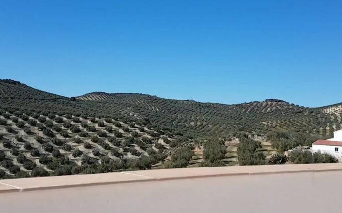 Image No.2-4 Bed House for sale