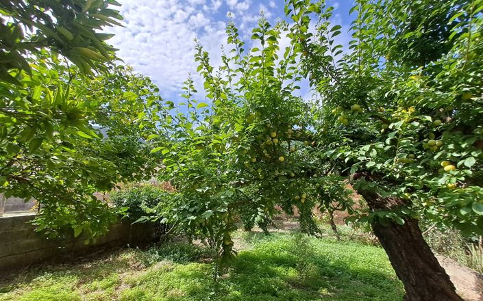 Image No.25-4 Bed House for sale