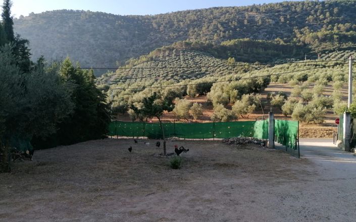 Image No.11-5 Bed House for sale