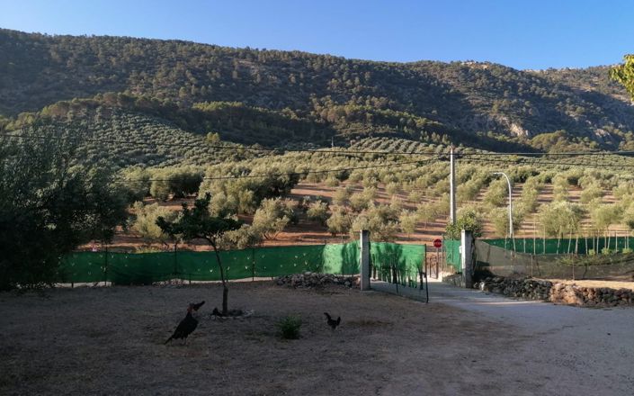 Image No.2-5 Bed House for sale