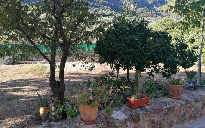 Image No.55-5 Bed House for sale