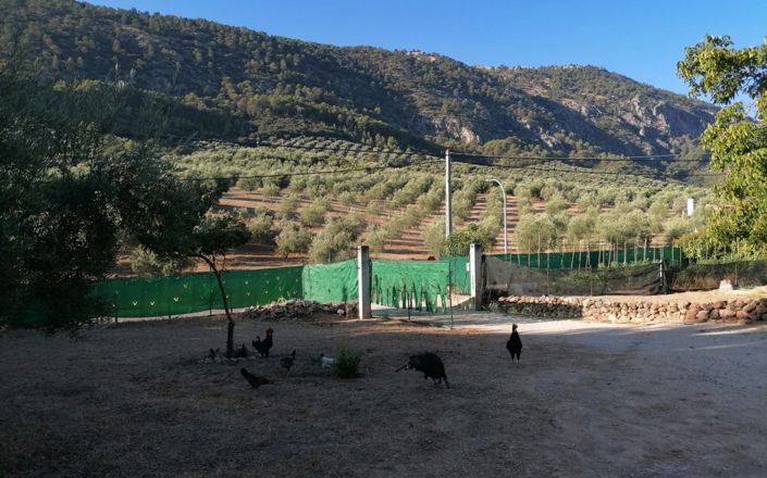 Image No.59-5 Bed House for sale