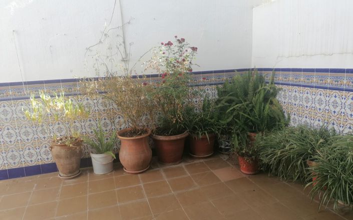 Image No.24-Maison de 4 chambres à vendre à Rute