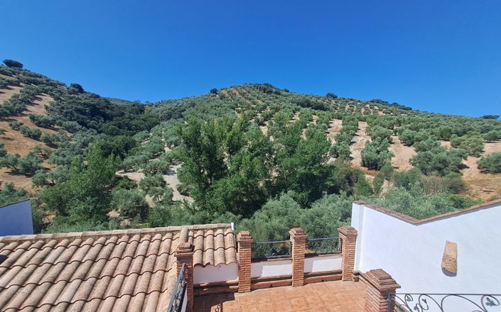 Image No.42-5 Bed House for sale