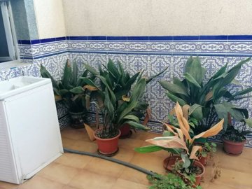 image12