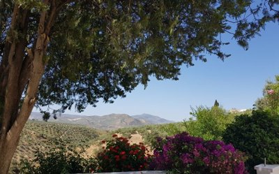 Andalucian Property Sales most sold property