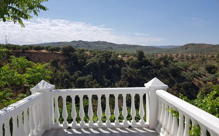 Image No.31-3 Bed House for sale