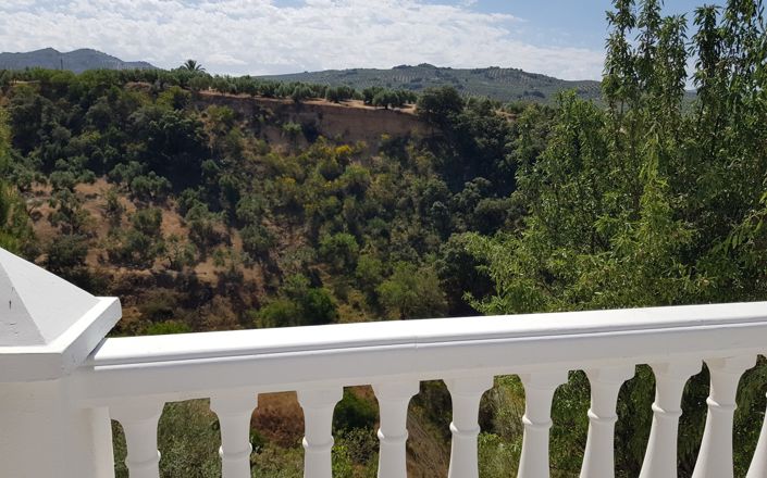 Image No.36-3 Bed House for sale