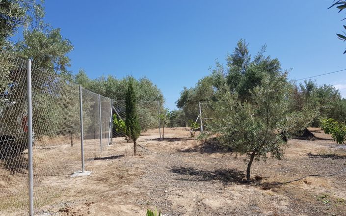 Image No.42-3 Bed House for sale