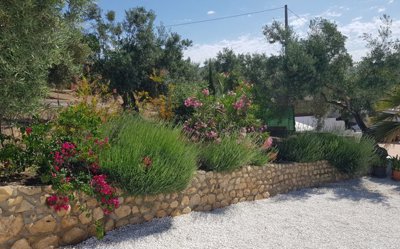 image6
