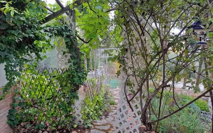 Image No.38-Maison de 4 chambres à vendre à Iznájar