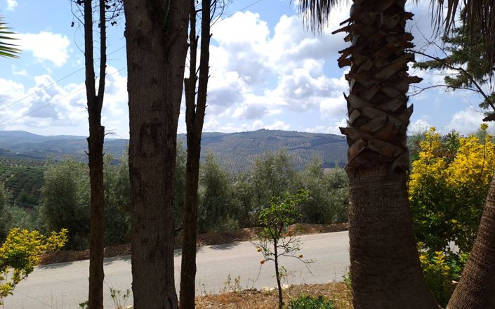 Image No.41-Maison de 4 chambres à vendre à Iznájar