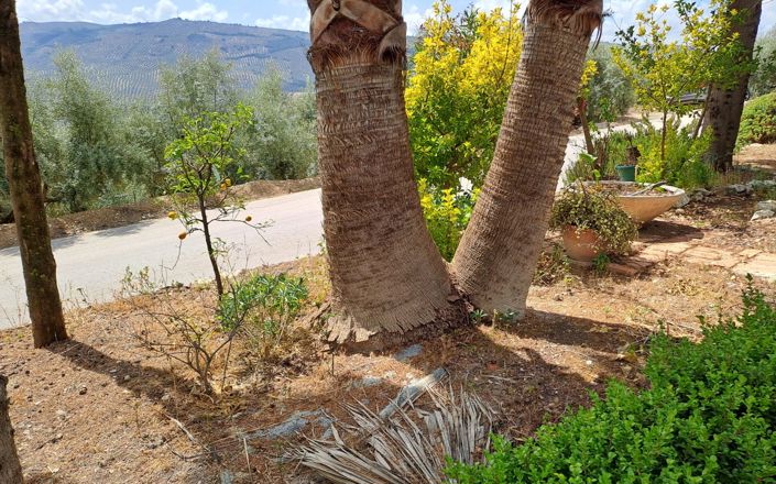 Image No.43-Maison de 4 chambres à vendre à Iznájar