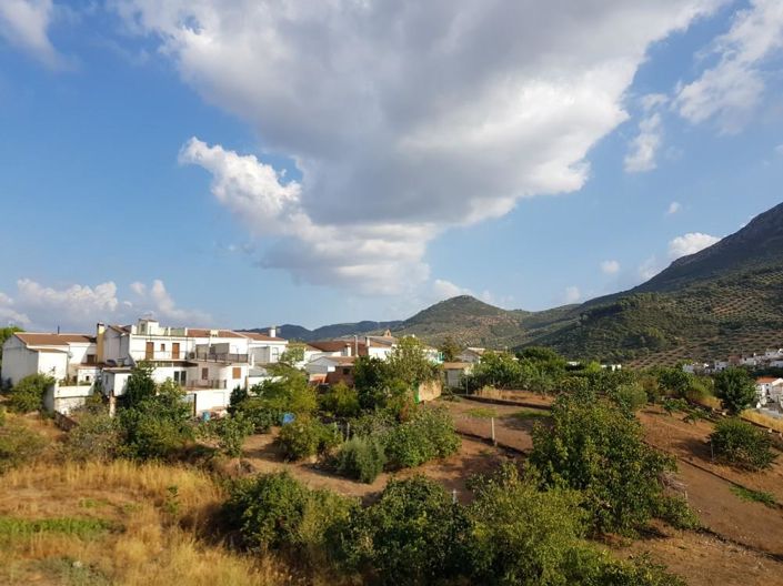 Image No.22-3 Bed House for sale