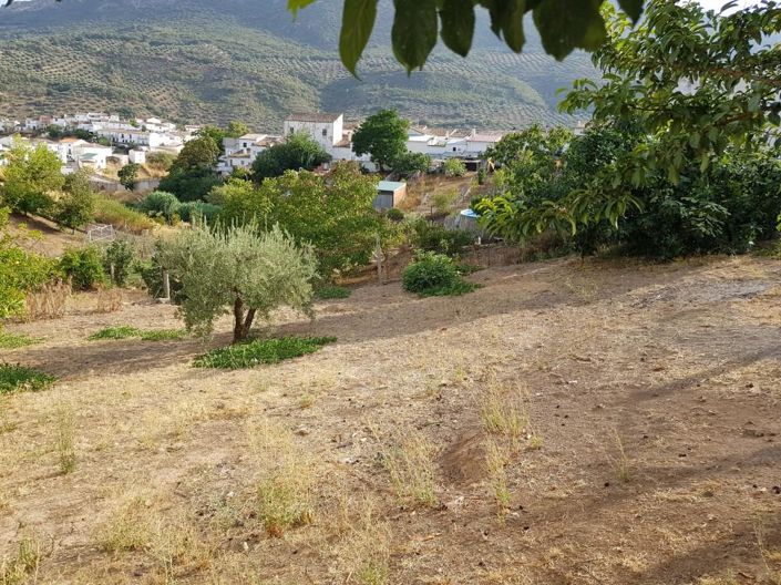 Image No.6-3 Bed House for sale