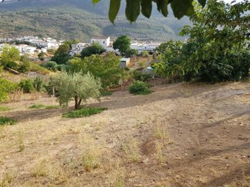 image6