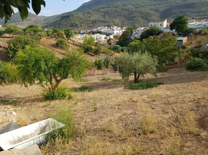 Image No.7-3 Bed House for sale