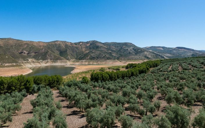 Image No.4-Maison de 6 chambres à vendre à Iznájar