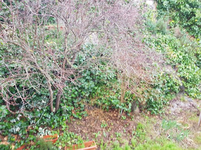 Image No.24-4 Bed House for sale