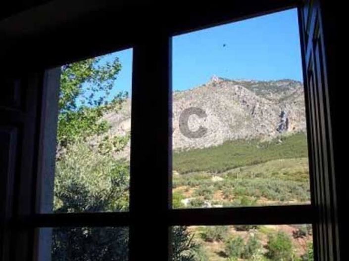 Image No.19-4 Bed House for sale