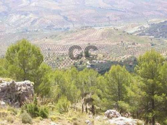 Image No.23-4 Bed House for sale