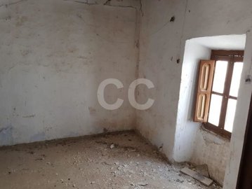 image12