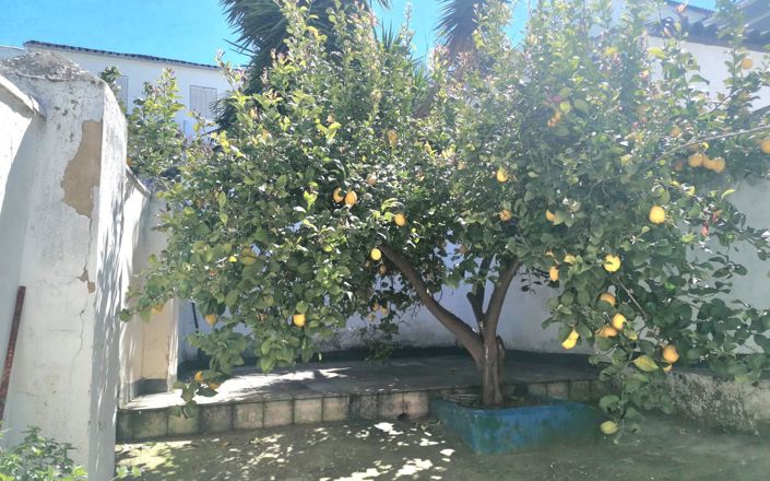 Image No.2-Maison de 4 chambres à vendre à Rute