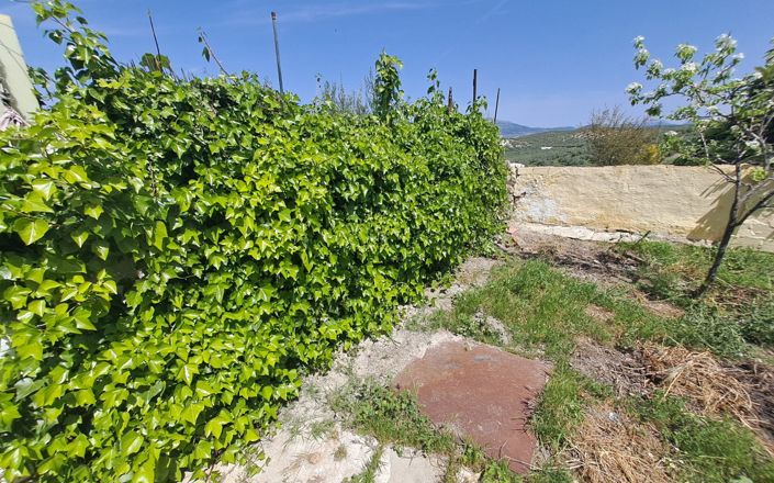 Image No.21-Maison de 4 chambres à vendre à Fuente-Tójar