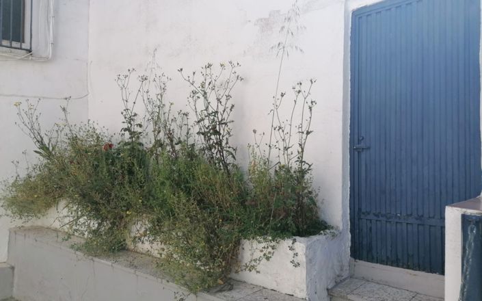 Image No.26-Maison de 4 chambres à vendre à Rute