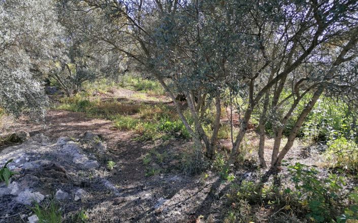 Image No.40-Maison de 4 chambres à vendre à Rute