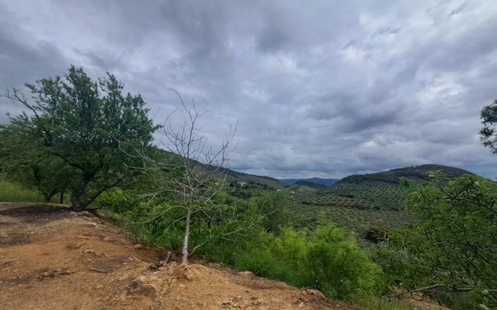Image No.15-Maison de 3 chambres à vendre à Alcaudete