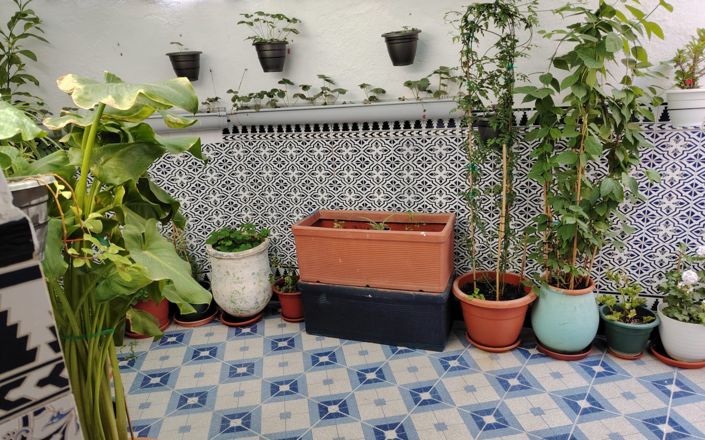 Image No.17-4 Bed House for sale