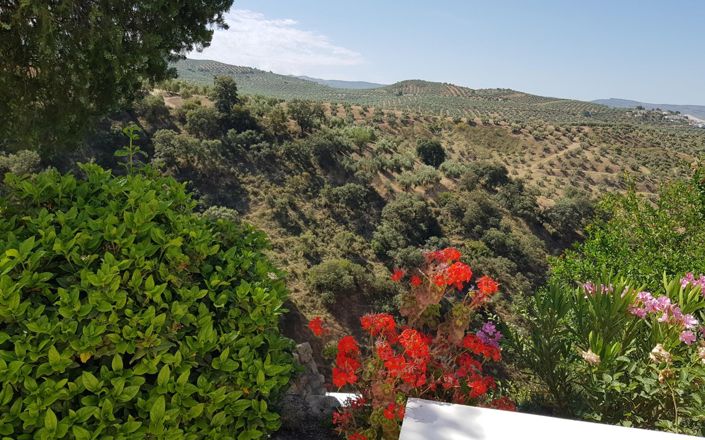 Image No.16-Maison de 3 chambres à vendre à Alcalá la Real