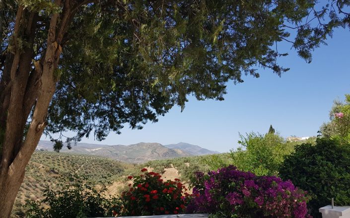 Image No.17-Maison de 3 chambres à vendre à Alcalá la Real
