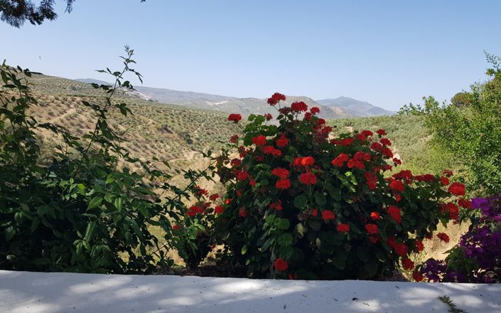 Image No.20-Maison de 3 chambres à vendre à Alcalá la Real