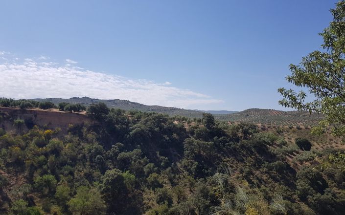Image No.31-Maison de 3 chambres à vendre à Alcalá la Real