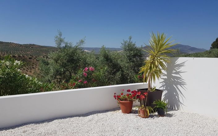 Image No.4-Maison de 3 chambres à vendre à Alcalá la Real