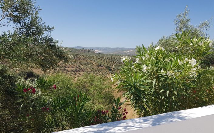 Image No.5-Maison de 3 chambres à vendre à Alcalá la Real