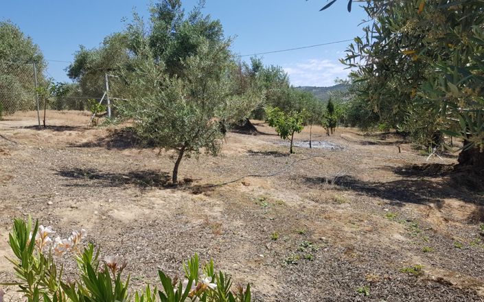 Image No.58-Maison de 3 chambres à vendre à Alcalá la Real