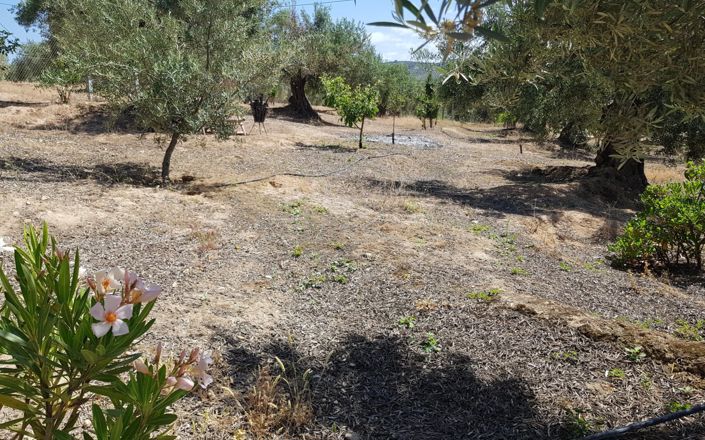 Image No.60-Maison de 3 chambres à vendre à Alcalá la Real