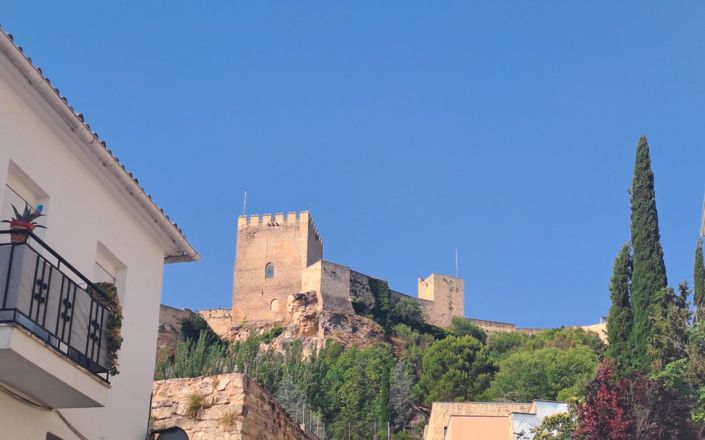 Image No.35-4 Bed House for sale