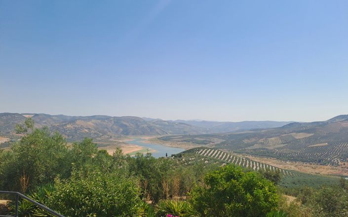 Image No.8-5 Bed House for sale