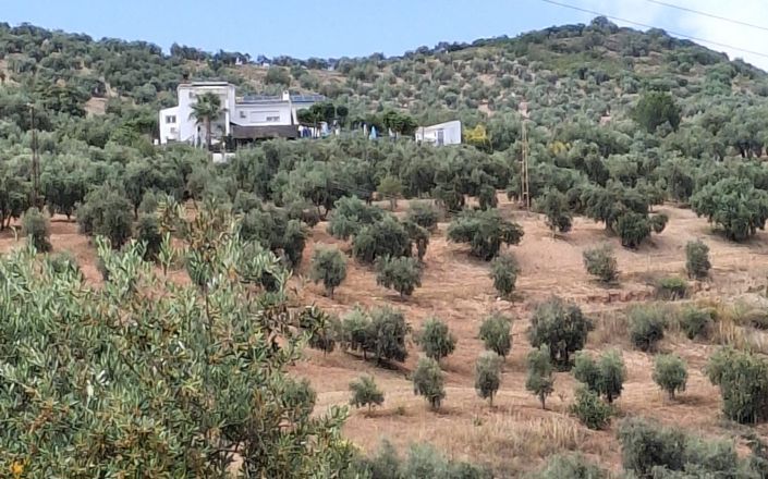 Image No.60-6 Bed House for sale