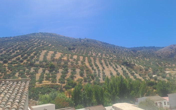 Image No.8-Maison de 4 chambres à vendre à Algarinejo