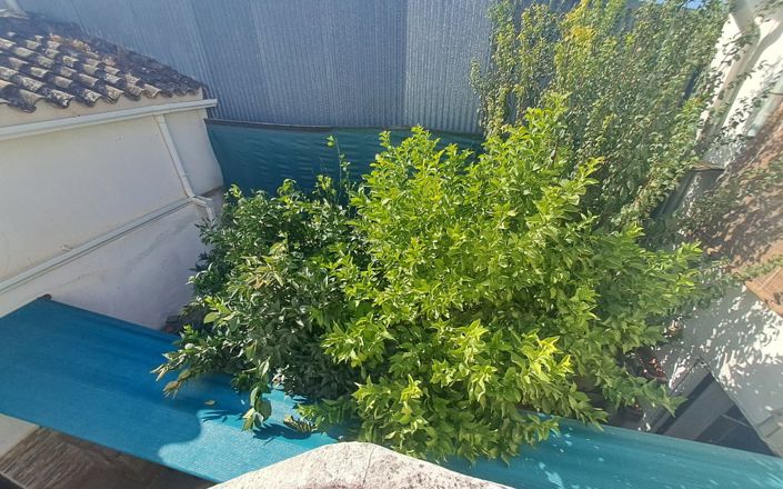 Image No.32-5 Bed House for sale