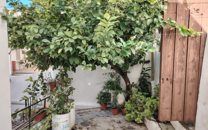 Image No.20-4 Bed House for sale